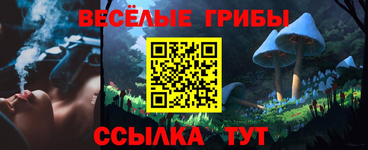 Псилоцибиновые грибы Psilocybine cubensis  Вход с VPN  Чита  Галлюциногенные грибы Cubensis 